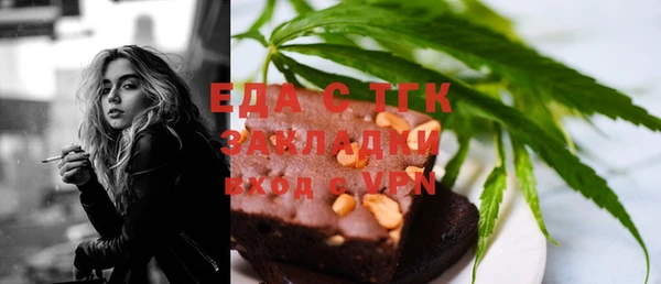 индика Арсеньев