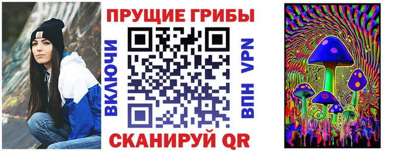 Галлюциногенные грибы Psilocybe  Зерноград 